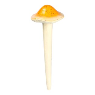 Lichtgevende paddenstoel