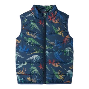 Steppweste Dinos