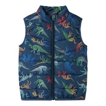 Steppweste Dinos