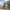 Citybike Sydney 20 Zoll / 24 Zoll