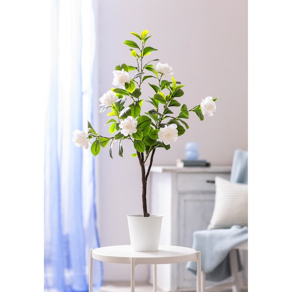 Productvoorbeeld 2