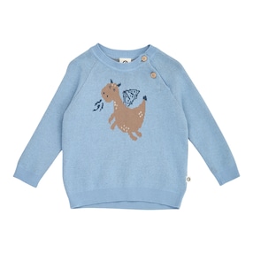 Pullover Drache