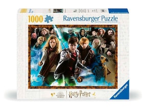 Der Zauberschüler Harry Potter