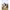 Kindergartenrucksack Mini Outdoor Backpack Little Gang