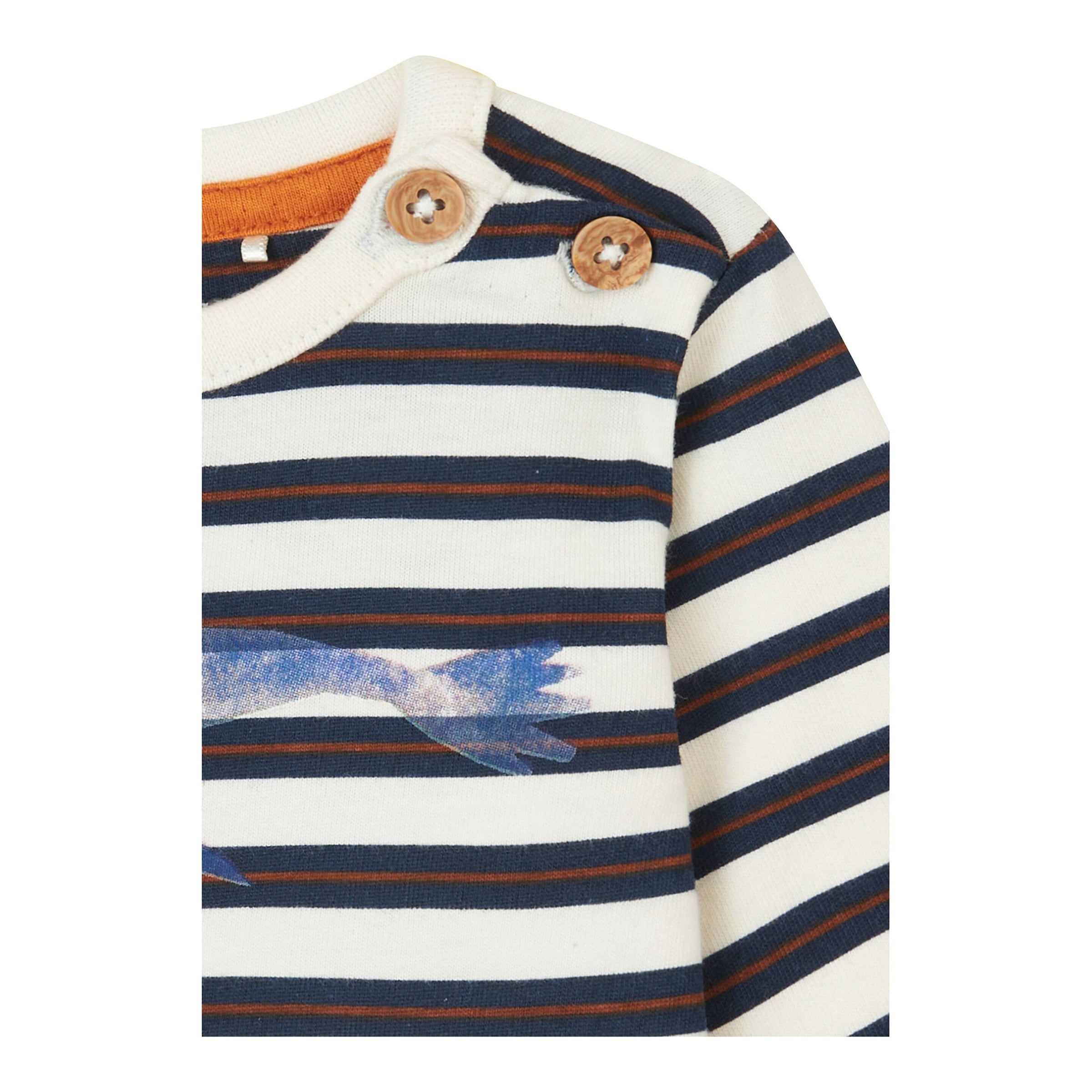 Shirt langarm Ringel Robbe