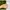 3er-Pack Multi-Sicherung