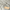 Laufgitter 6-eckig Greyish gesteppt 'Luxe'