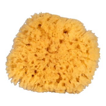 Körperschwamm