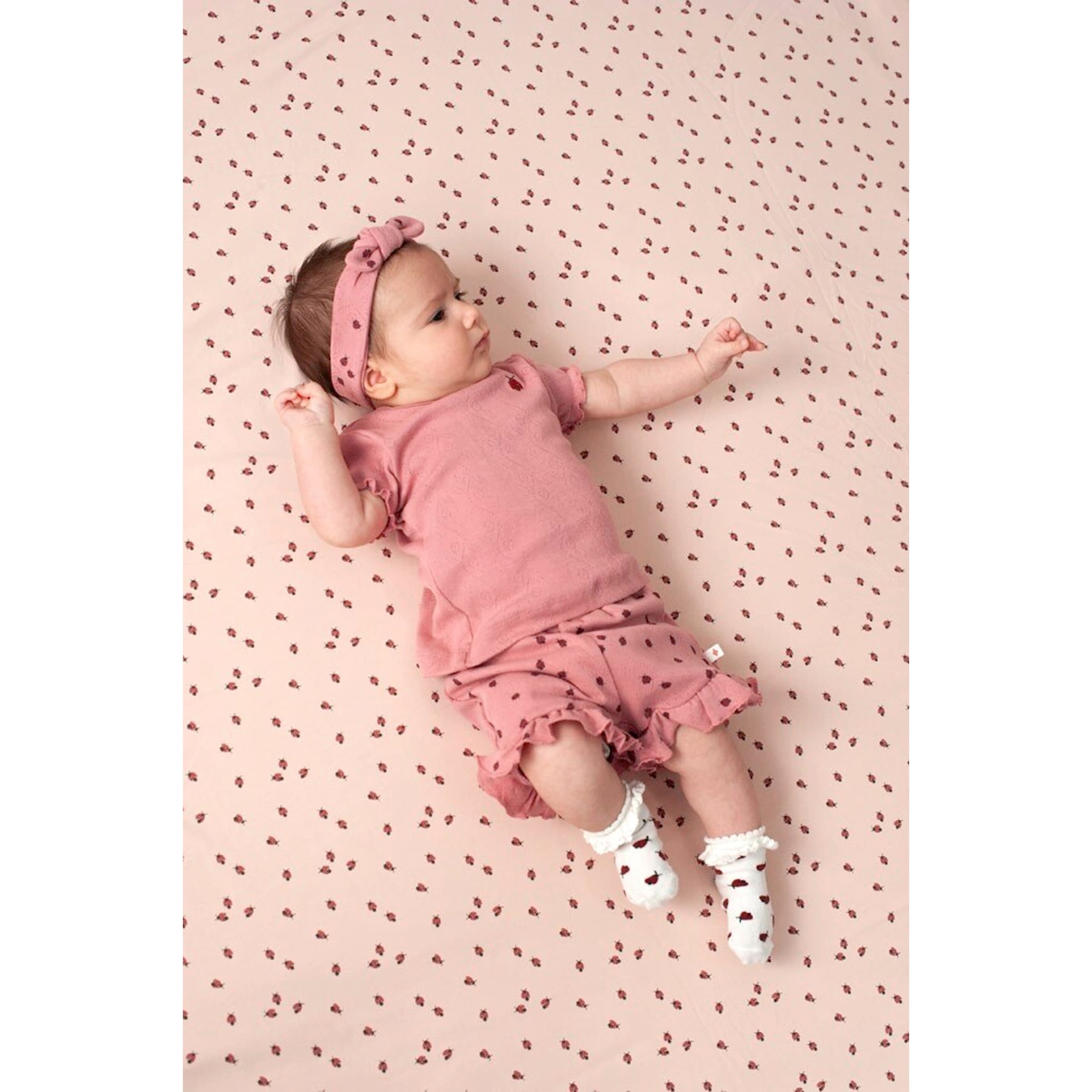 Thumbnail - Feetje Ajour-Shorts Marienkäfer Rüschen