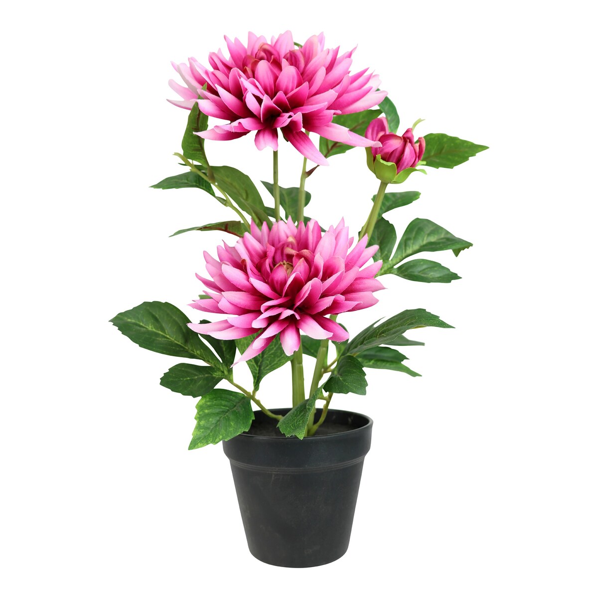 Image produit 1