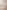 Babygymfiguren Holz Edvin