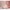 Bundle Sleepi Mini inkl. Umbausatz, 2 Matratzen und 2 Spannbetttüchern