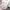 Babydecke Microfaserflausch 75x100 cm 