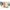 Mein erstes Fotoalbum - Entdeckerbuch