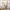 Babynahrungszubereiter und Sterilisator NutribabyPlus