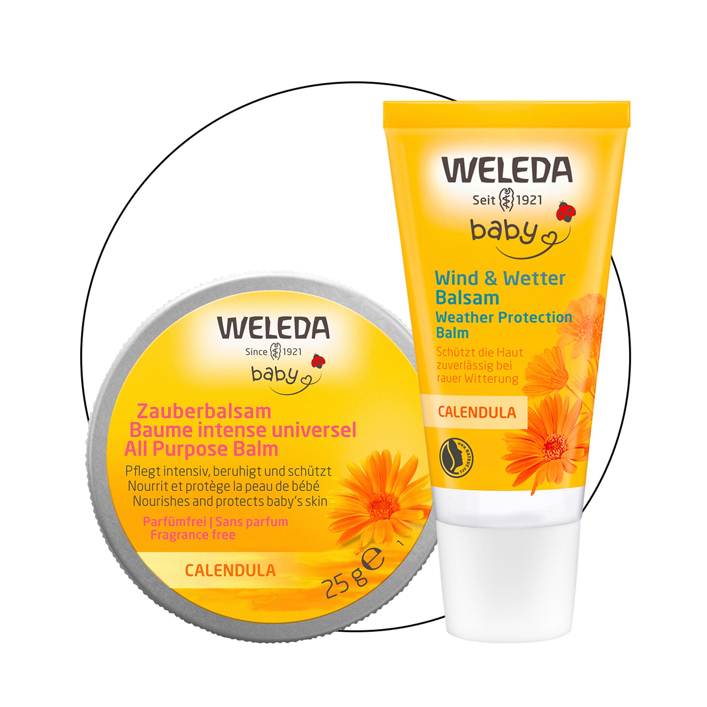 Calendula popular Bundle NEW