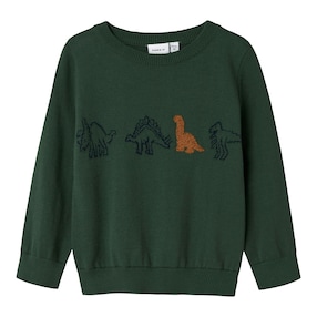 Pull dinosaures