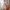 Sommer-Sleepoverall Musselin 0.5 TOG
