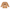 Sweatshirt Rind