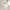 Laufgitter 100x75 roba Style grau 