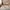 Kinder Teppich Softstar Kids Safari Animal Friends