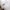 Babydecke Microfaserflausch 75x100 cm 