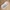 Baby-Badewannenmatte aus Naturkautschuk MyHappyBath Mat