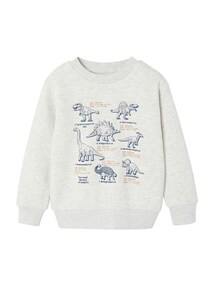 Sweatshirt mit Frontprint Jungen BASIC