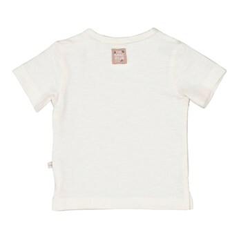 T-Shirt Koala
