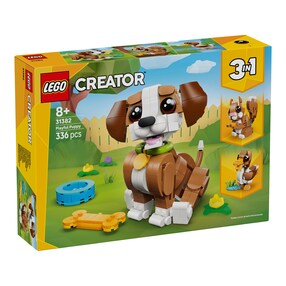 31382 Niedliche Tiere: Verspielter Welpe