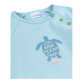Raglanshirt Schildkröte