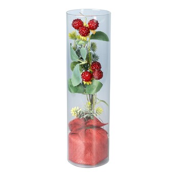 Décoration à LED «baies sous verre»