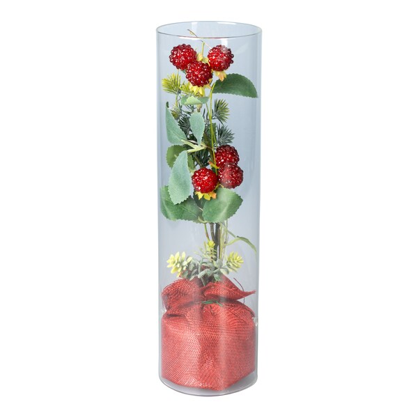 Aperçu du produit 1