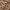 Greifling Rassel Holz Natur und Baumwolle Reh  - ab Geburt