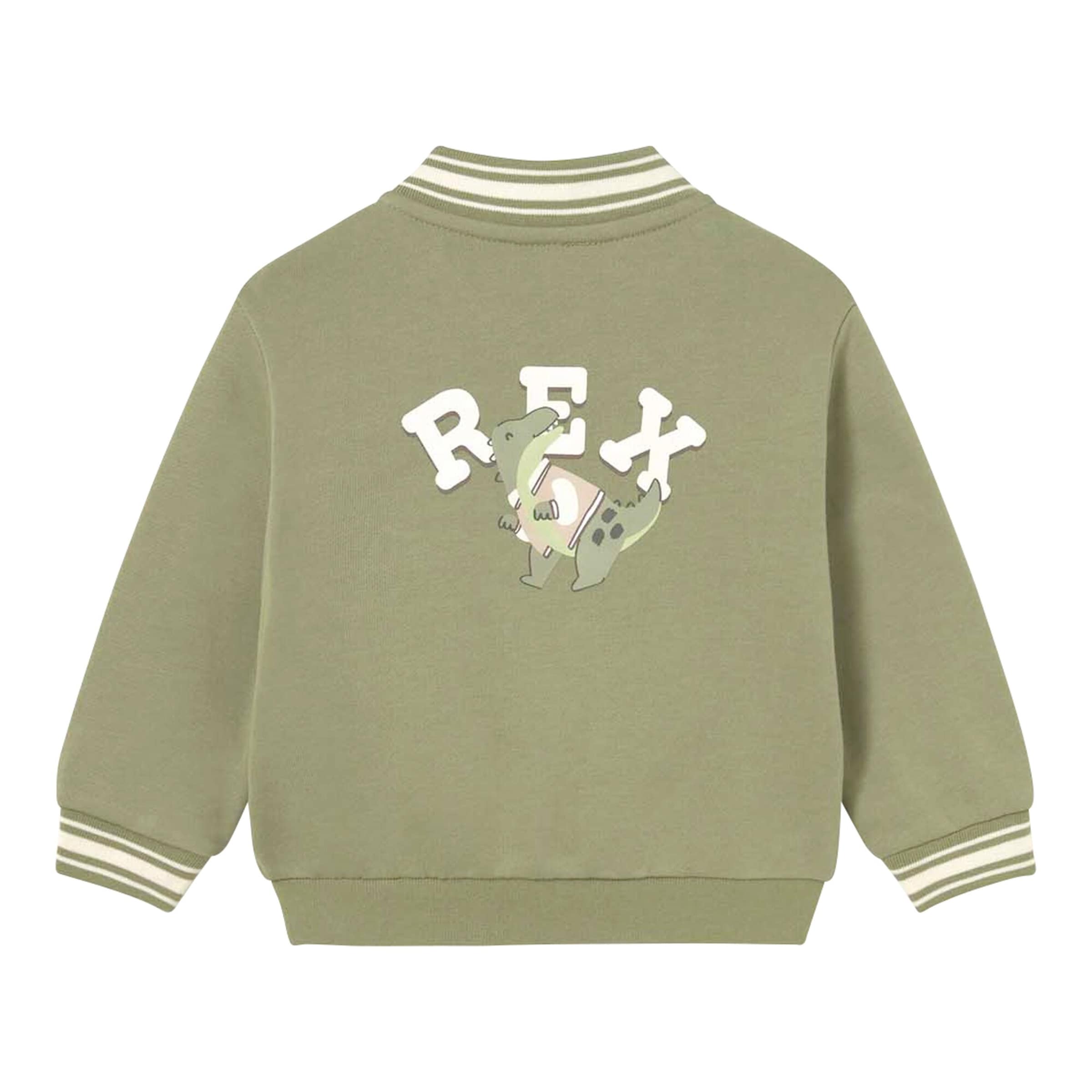 Collegejacke Dinos