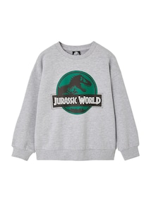 Kinder Sweatshirt JURASSIC WORLD