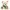 Kuscheltier Jimmy Teddy Good Luck 30cm