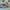 42236 Ford Mustang GT Auto aus der Tuning-Werkstatt