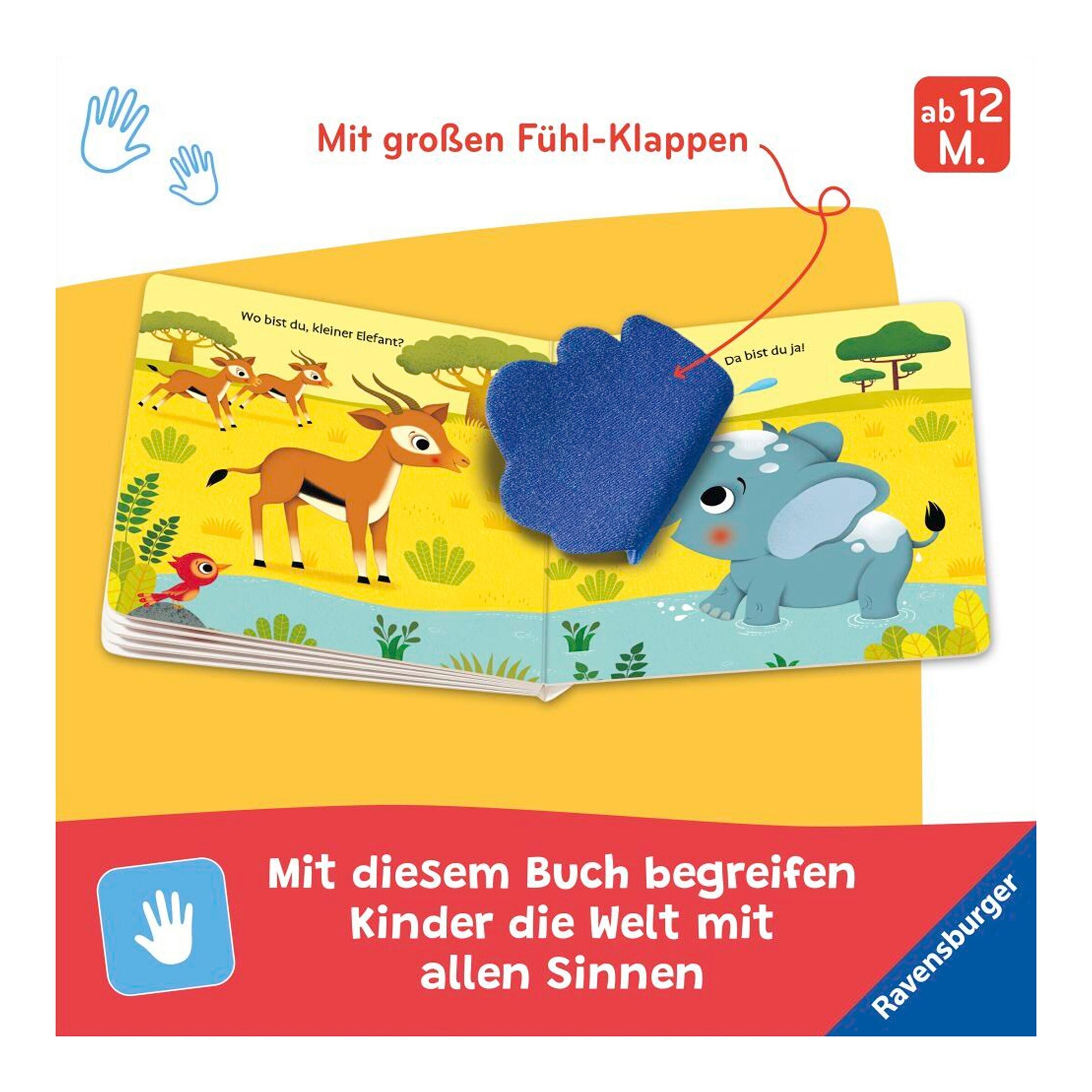 Pappbilderbuch Wo bist du kleiner Elefant?