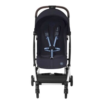 Buggy ORFEO