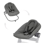Produkt Babywippe Bouncer Premium für Alpha und Beta