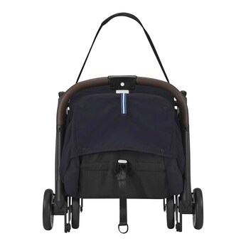 Buggy ORFEO