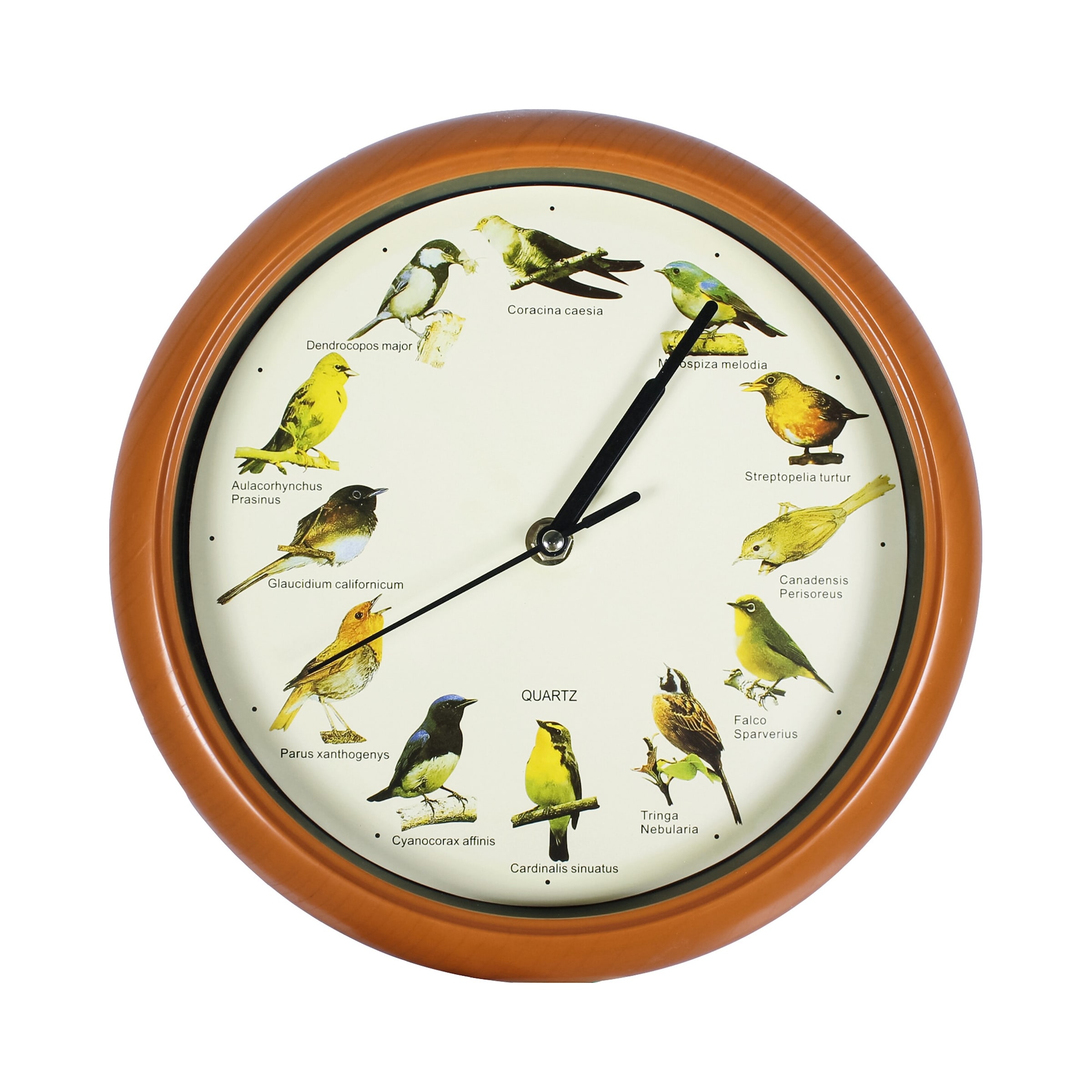 Wanduhr "Vogelgesänge"