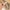 8er-Pack Magnetschloss