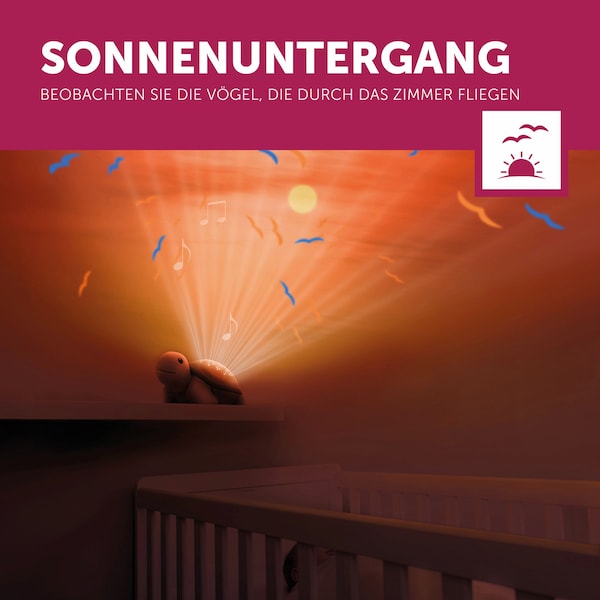 Produktvorschaubild 12
