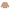 Shirt langarm Vogel