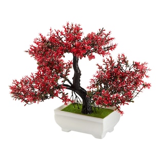 Bloeiende bonsai "donkerrood"
