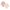 2er-Pack Wickelbodys langarm Wild Nature