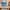 42698 Friends Adventskalender 