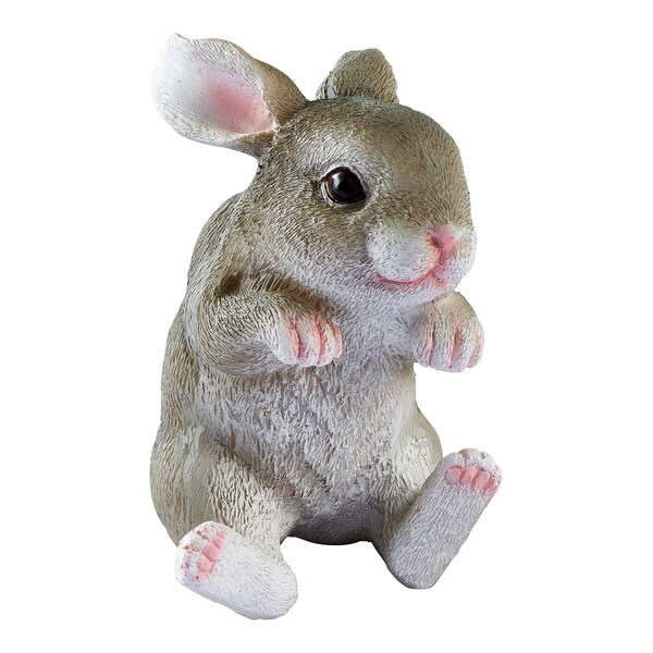 Aperçu du produit 1